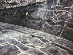 -张之洞与武汉博物馆