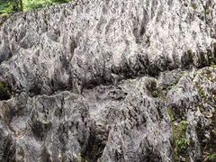 -梭布垭石林景区