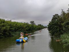 -黄海国家森林公园