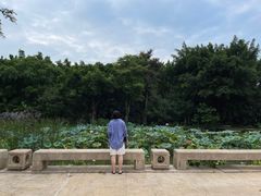 -福建鲤鱼洲酒店