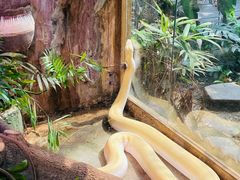 -上海大自然野生昆虫馆(东方明珠·爬宠昆虫探索中心)