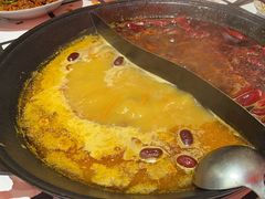 -朱光玉火锅馆(正弘城店)