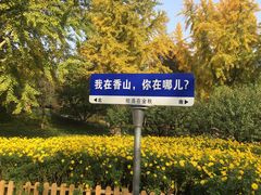 -香山公园