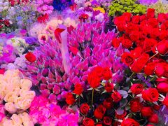 -花鸟鱼虫鲜花绿植市场(玉泉路店)
