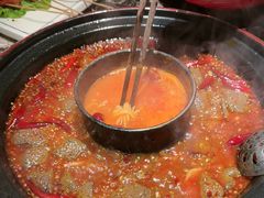 -蜀辣居鲜货老火锅(红牌楼店)