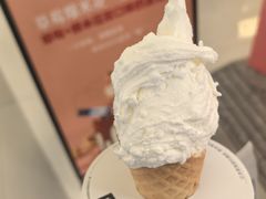 -野人先生现做冰淇淋(北京王府井东方新天地店)
