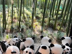 -杭州植物园