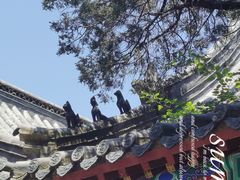 -崂山仰口游览区