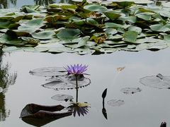 -国家植物园南园