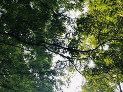 -同里国家湿地公园