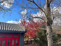 -沈阳市东陵公园