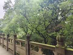 -南山植物园
