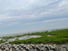 -奉贤海滩