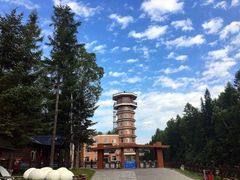 景点-峡谷浮石林景区