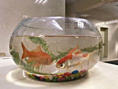 -上海市中医医院(芷江路院区)