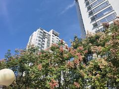 -美达尔烧烤(银川东路店)