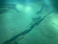 -白鹤梁水下博物馆