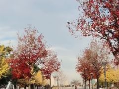 -台场海滨公园船码头