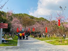 -广州市帽峰山景区