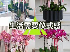 -F.Story 花和故事(新天地店)