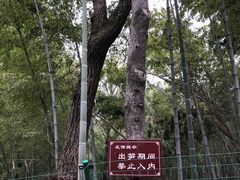 -灵岩山风景区