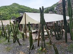 -MOJ coffee(瓯海泽雅水碓坑店)