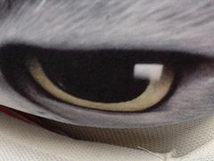 -昆明冠生园·蛋糕·面包(南强街店)