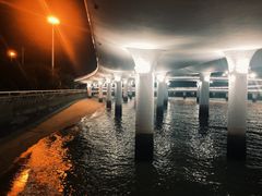 -演武大桥观景平台