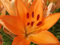 -长春公园(普阳街道)