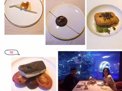 -迪拜帆船酒店海底餐厅