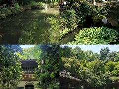 -虎跑公园