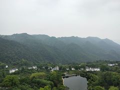 -南山植物园