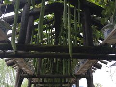 -贵阳蓬莱仙界