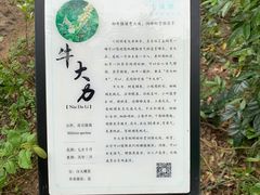 -世间香境·七溪地