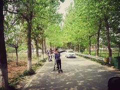 -白鹭湾湿地公园