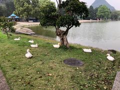 -Club Med地中海俱乐部·桂林度假村