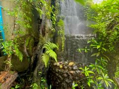 -Chom Cafe and Restaurant