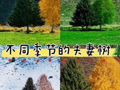 -可可托海景区