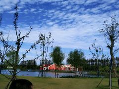 -上海长兴岛郊野公园