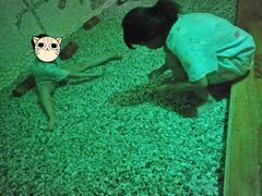 -五大龙池温泉宝石浴(繁荣店)