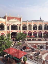 -奇幻丛林(佛罗伦萨小镇店)