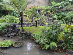 -深圳仙湖植物园