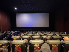-上海金逸影城(静安大悦城店（原新恒星影城）)