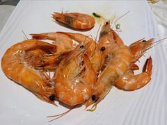 -越百海海鲜蒸锅(乐山店)