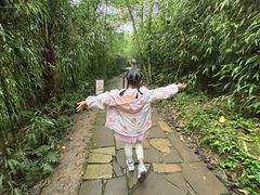 -都江堰中华大熊猫苑