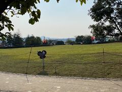 -铁山坪森林公园