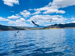 -丽江泸沽湖景区