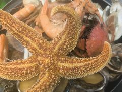 -北方饺子王·海肠捞饭·海鲜锅(山大店)