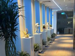 -爱氧森林·日本兴百世SHENPIX微高压氧舱