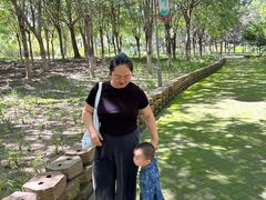 -大兴滨河森林公园